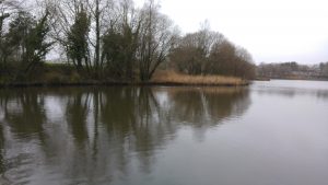 Grey, misty view of pond at the Gnoll, Neath.